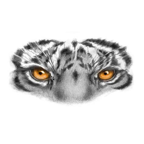 Eye Of The Tiger Tattoo Realistic Temporary Tattoos Tattoo Icon
