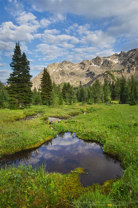 Purcell Mountains Meadow Alan Majchrowicz Photography
