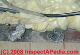 Asbestos Pipe Insulation Identification Photos