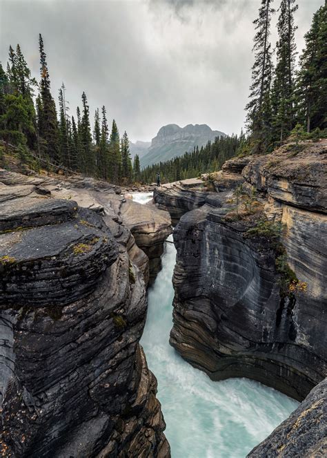 Mistaya Canyon In 2021 Banff National Park River Park National Parks