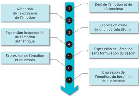 Les 7 Degrés De La Maturité émotionnelle