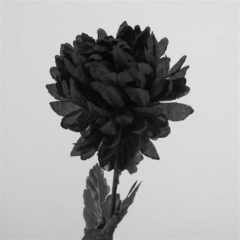 Silk flowers are a fabulous choice for all occasions and recipients. Black Silk Chrysanthemum | Artificial Flowers