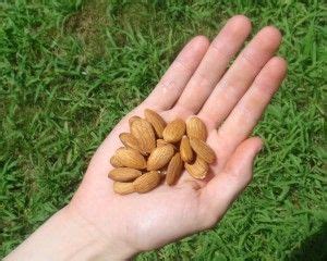 One oz of pecans contains 3.9 grams of carbohydrates, 2.7. 79 best Low Calorie - Snacks | Apps images on Pinterest | Kitchens, Snacks and Health snacks