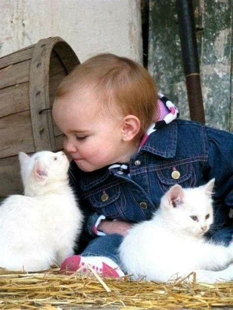 Children Funny Cute Kittens Little Kittens Cats And Kittens