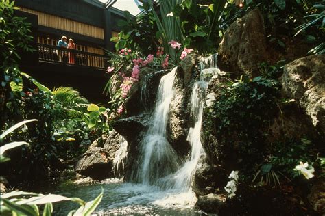 Disney Resort Hotels Disneys Polynesian Resort Lobby Waterfall
