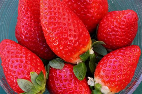 Free Images Plant Fruit Sweet Food Red Produce Delicious