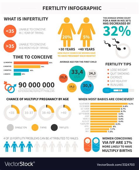 Fertility Infographic Royalty Free Vector Image