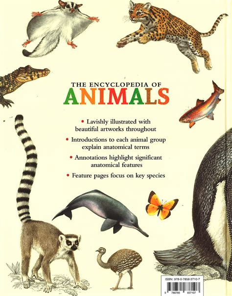The Encyclopedia Of Animals Bookxcess Online