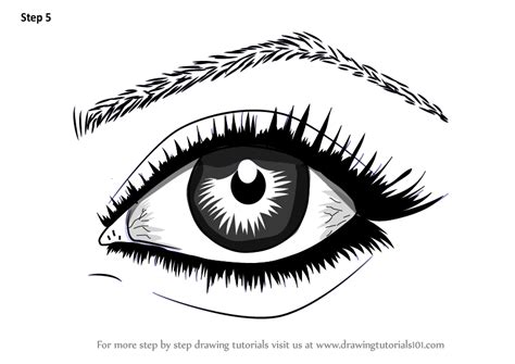 That is why i decided to create this blog post: Step by Step How to Draw Realistic Eyes With Pencil ...