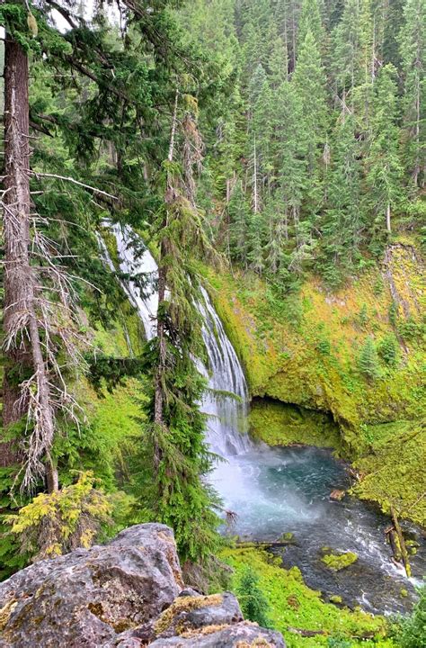 Lemolo Falls Wonder Where Now