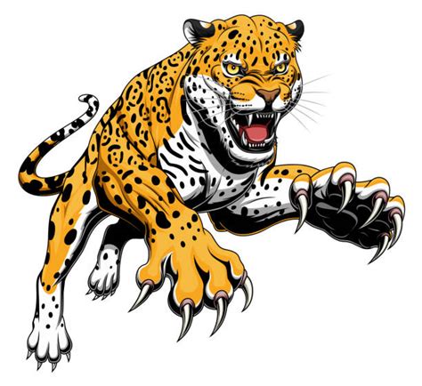 Jaguar Cat Drawings Illustrations Royalty Free Vector Graphics And Clip