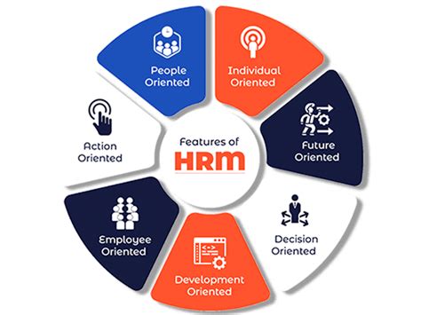 Human Resource Management System Hr Software In Pakistan