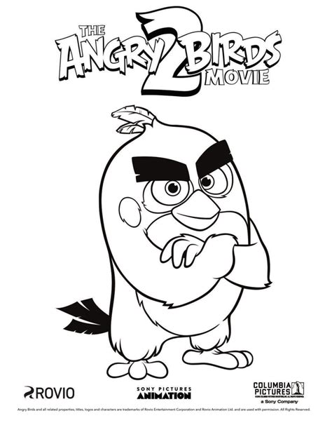 Angry Birds Coloring Pages All Birds