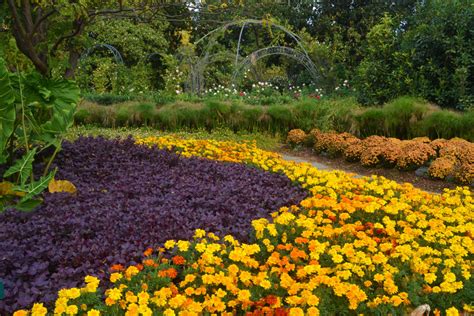 Fall Is Blooming Bright At The Dallas Arboretum Dallas Arboretum And