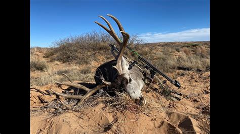 New Mexico Mule Deer Bowhunt The Desert Double 2020 Youtube