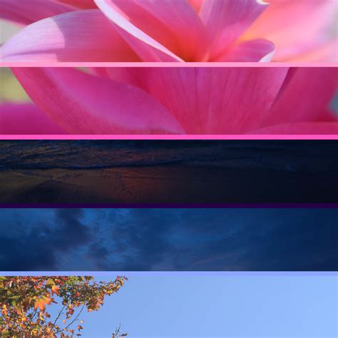Omni Aesthetic Themed To The Omnisexual Flag All Images Used Are My