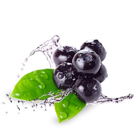 Blueberry Png Hd Transparent Blueberry Hdpng Images Pluspng