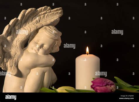 hite angel with candlelight and tulip flowers on a dark background