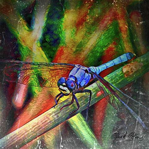 Blue Dragonfly Digital Art By David Mckinney Fine Art America