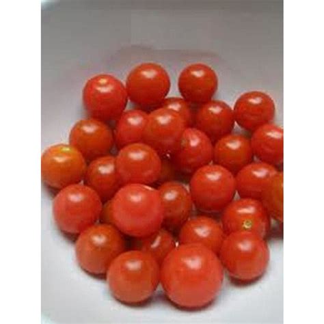 Sugar Lump Tomato Seeds Etsy