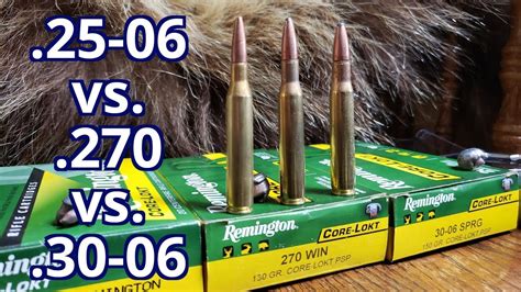 25 06 Rem Vs 270 Win Vs 30 06 Spfld Remington Core Lokt Pork And
