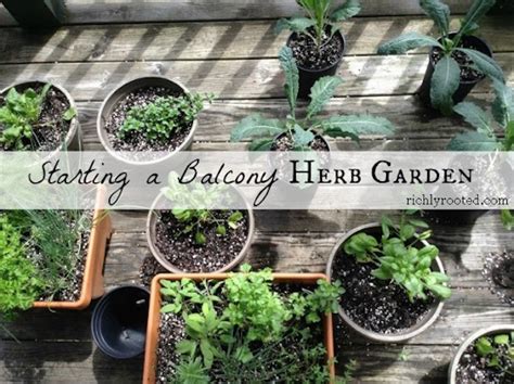 Gardening Tips For Every Space The Organic Kitchen Blog And Tutorials