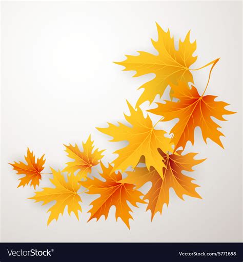 Autumn Maples Falling Leaves Background Royalty Free Vector