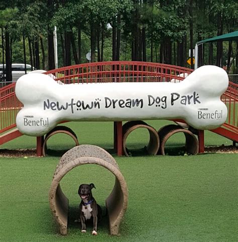Newtown Dream Dog Park In Georgia Is A Top Dog Park In The Country