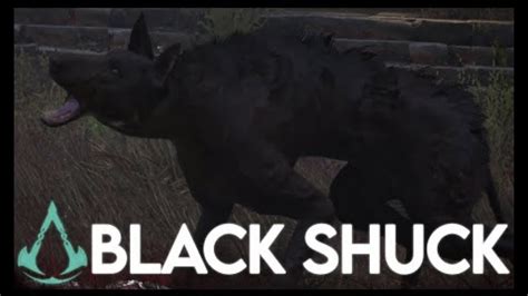 Assassin S Creed Valhalla Black Shuck Legendary Beast YouTube