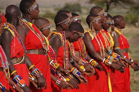 Tribe Women Masai Mara Africa Cultura Dia Da Consciência Negra África