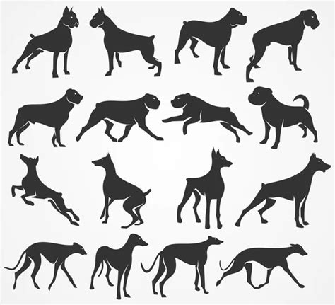 Set Of Vector Dog Breeds Silhouettes Vector Illustrations Stock