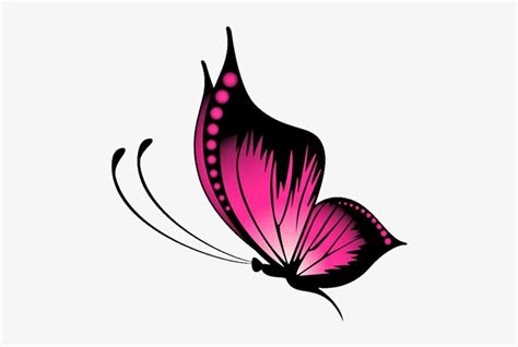 Pink Butterfly Vector Png Transparent Png 500x499 Free Download On