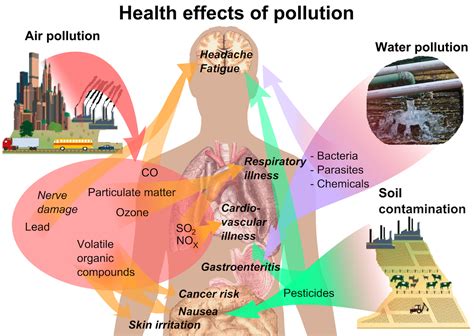 What does exposure to environmental chemicals mean for our health?