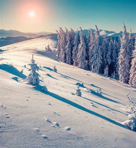 Sunny Winter Morning In The Mountains Stock Image Image Of Journey