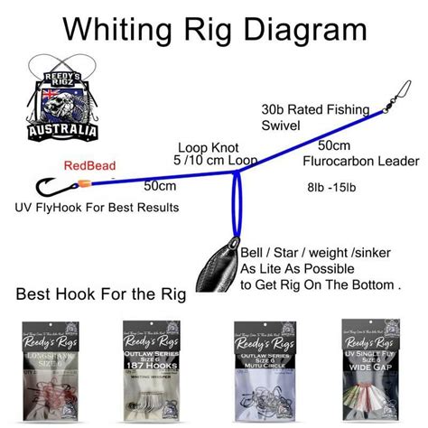 How To Catch King George Whiting Reedy S Rigs