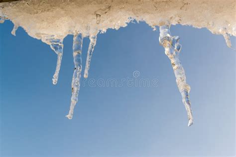 Melting Winter Icicles With Blue Sky Stock Image Image Of Season