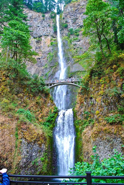 Multnomah Falls Oregon Multnomah Falls Places To Go Vacation