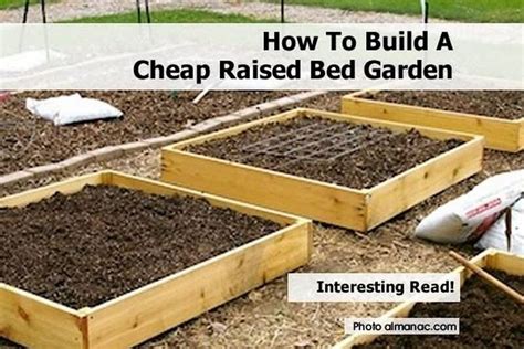 How To Build A Cheap Raised Bed Garden
