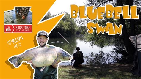 Passion For Big Carp Bluebell Swan Spring 2 Youtube