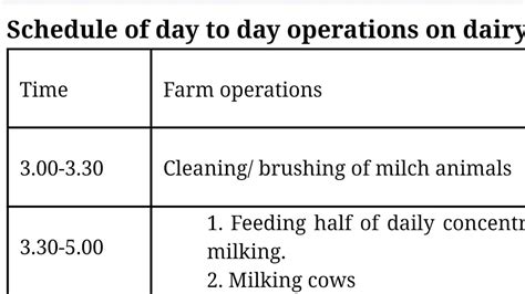 Daily Schedule Of Dairy Farm Youtube