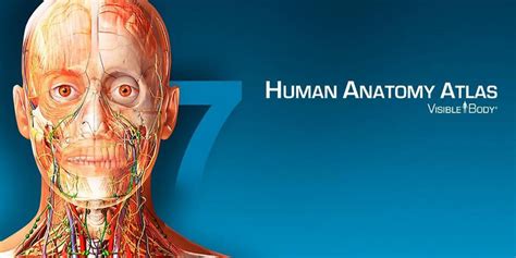 Human Anatomy Atlas 2024 202400005 Mod Apk In App Purchased Download