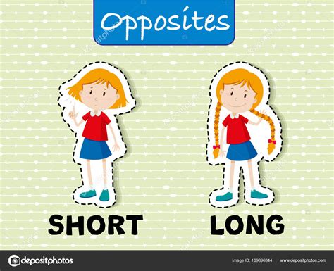 Opposite Words For Short And Long Stock Vector By Blueringmedia