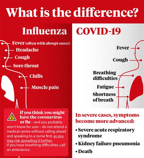 The most common types of influenza virus are a and b. Similarities and Differences between Influenza and COVID ...