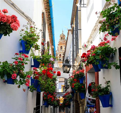 Qué Ver En Córdoba 15 Cosas Que No Te Puedes Perder Por Nada Del Mundo