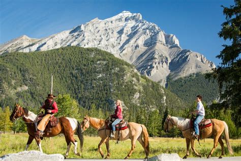 Banff Horseback Riding Sulphur Mountain 4h Epic Experiences