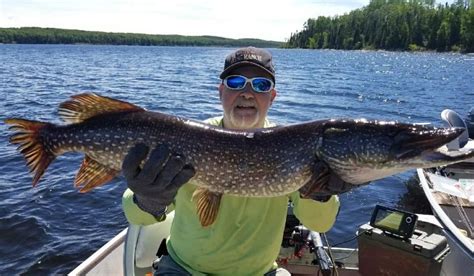 Top 5 Pike Lures Wilderness North