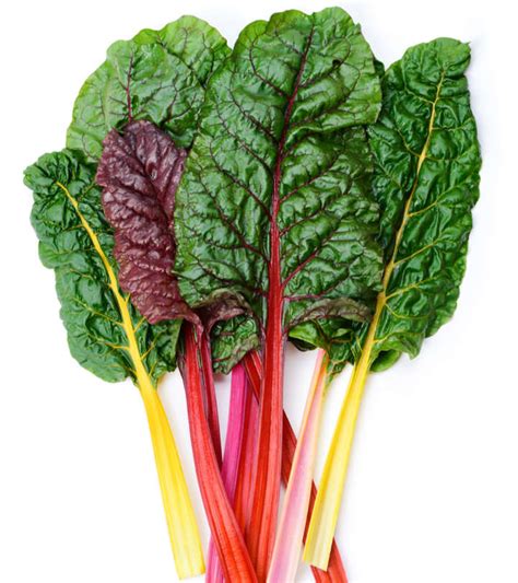 9 Health Benefits Of Swiss Chard Nutrition Facts And Recipes
