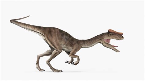 3d Proceratosaurus Theropod Dinosaur Turbosquid 1596185