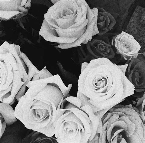 Black And White Roses Lalieem Black And White Roses Iconic