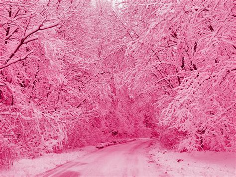 Everything Is Pink Pink Is Everything Pink Life Go Pink Pink Snow